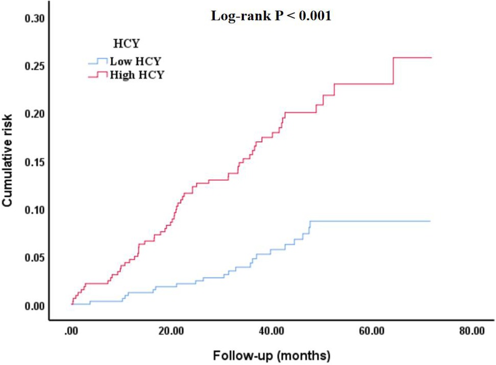 Kaplan-Meier survival curve comparing cumulative risk between low and high homocysteine (HCY) groups over 80 months. The high HCY group (red) shows a significantly higher risk, especially after 20 months, compared to the low HCY group (blue). Log-rank P value is less than 0.001, indicating statistical significance.