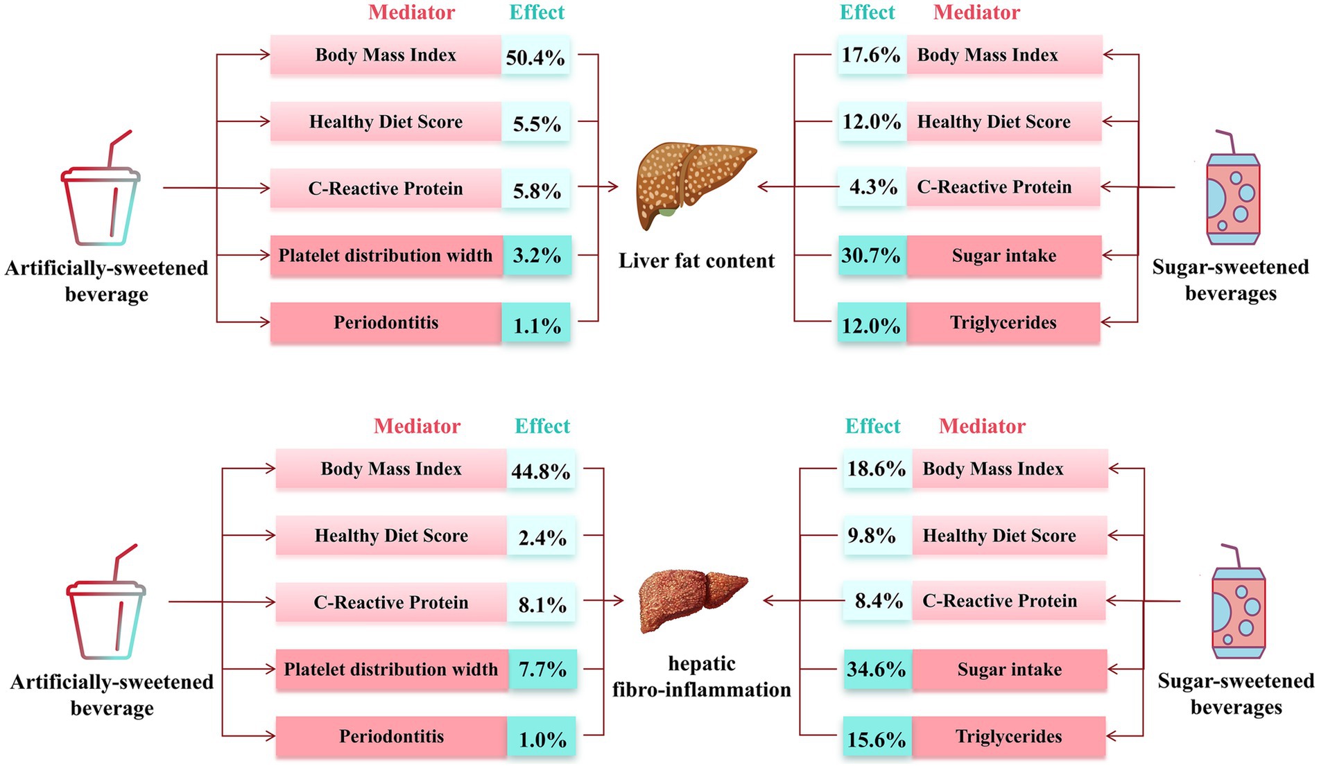 Flowchart comparing the effects of artificially-sweetened and sugar-sweetened beverages on liver conditions. Mediators include body mass index, healthy diet score, C-reactive protein, platelet distribution width, and periodontitis. Liver fat content is affected by artificially-sweetened beverages through these mediators, with percentages indicating effect size. Sugar-sweetened beverages affect liver fat content and hepatic fibro-inflammation through body mass index, healthy diet score, C-reactive protein, sugar intake, and triglycerides, also with percentages shown. The chart uses icons for beverages and an illustration of the liver.