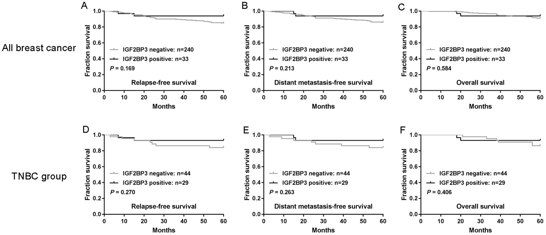 Six Kaplan-Meier survival curves show the impact of IGF2BP3 expression on survival in breast cancer and TNBC groups over 60 months. Panels A to C (all breast cancer) include relapse-free, distant metastasis-free, and overall survival with p-values 0.169, 0.213, and 0.584. Panels D to F (TNBC group) show the same metrics with p-values 0.270, 0.263, and 0.406. Lines represent IGF2BP3 negative and positive groups.