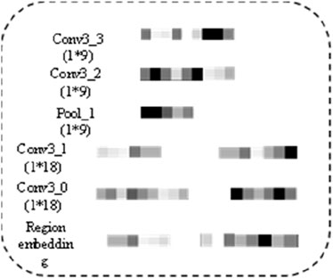 Diagram displaying convolutional and pooling layers with corresponding output feature embeddings. Layers are labeled Conv3_3, Conv3_2, Pool_1, Conv3_1, Conv3_0, and Region embedding, each with distinctive color patterns representing output features.