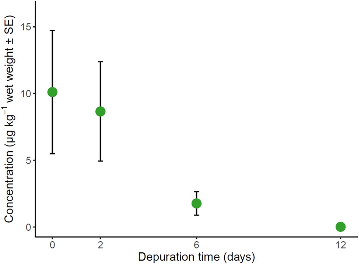 Scatter plot showing concentration of imidacloprid in micrograms per kilogram wet weight (with standard error) against depuration time in days. Concentration decreases from about 10 at 0 days to near 0 by 12 days, with data points at 0, 2, 6, and 12 days.