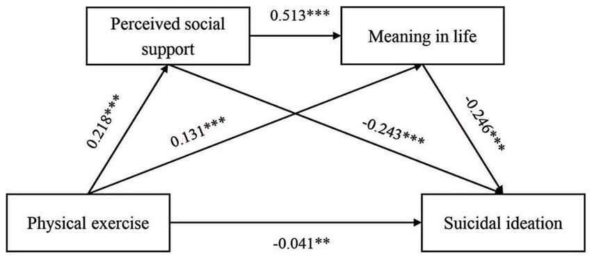 Diagram showing relationships between four variables: Physical exercise, Perceived social support, Meaning in life, and Suicidal ideation. Arrows indicate correlation paths with respective coefficients: Physical exercise to Perceived social support (0.218**), to Meaning in life (0.131***), and to Suicidal ideation (-0.041**); Perceived social support to Meaning in life (0.513***); Meaning in life to Suicidal ideation (-0.243***); and Perceived social support to Suicidal ideation (-0.246***). Asterisks denote significance levels.