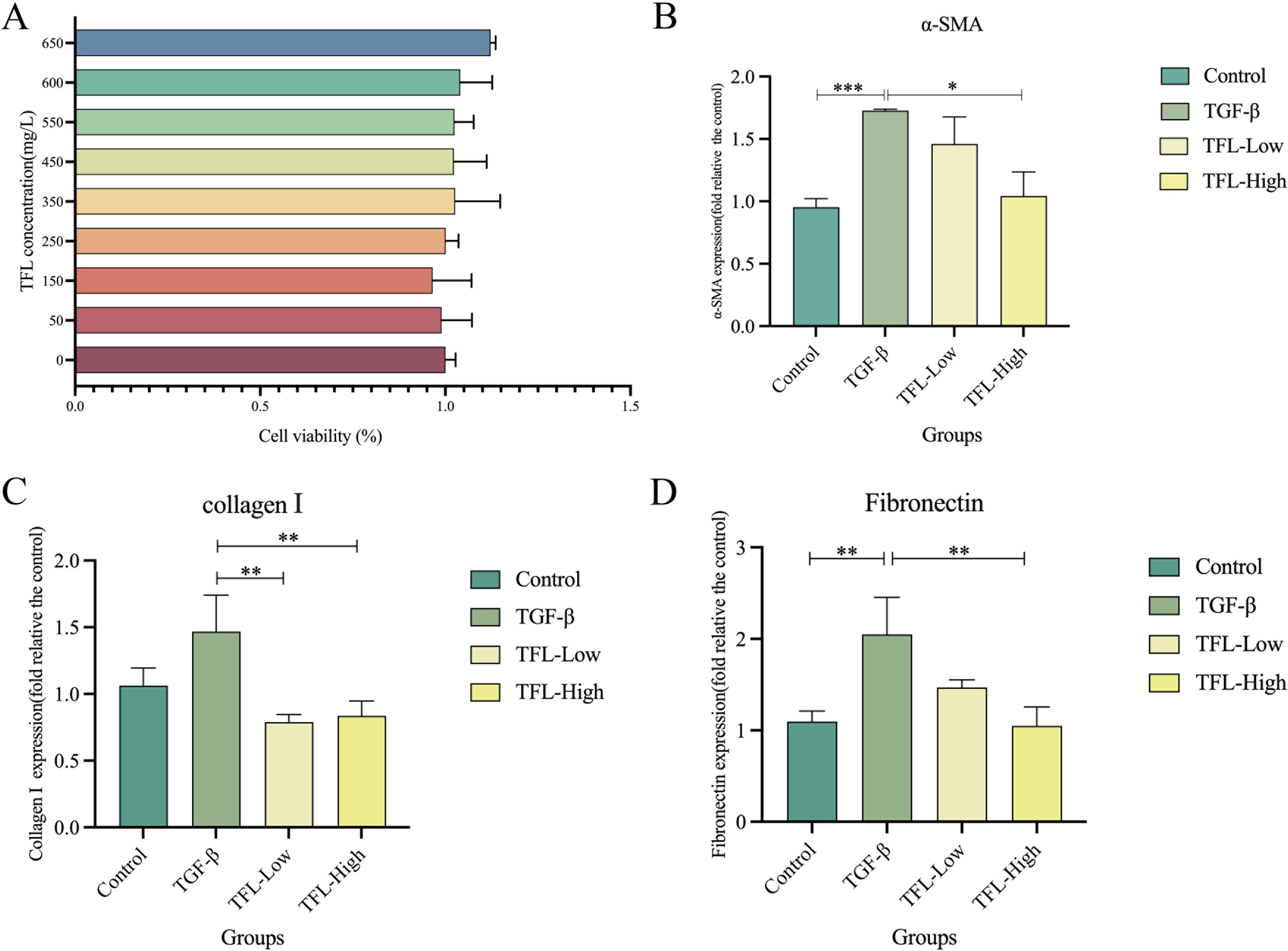 Chart panel with four graphs. A: Bar chart shows TFL concentration effect on cell viability, ranging from 50 to 650 mg/L with 100% viability. B: Bar chart of α-SMA expression across groups, showing TGF-β highest. C: Collagen I expression bar chart, with TGF-β highest. D: Fibronectin expression bar chart, with TGF-β higher than TFL groups. Control, TGF-β, TFL-Low, TFL-High shown in legend, with significance levels indicated.