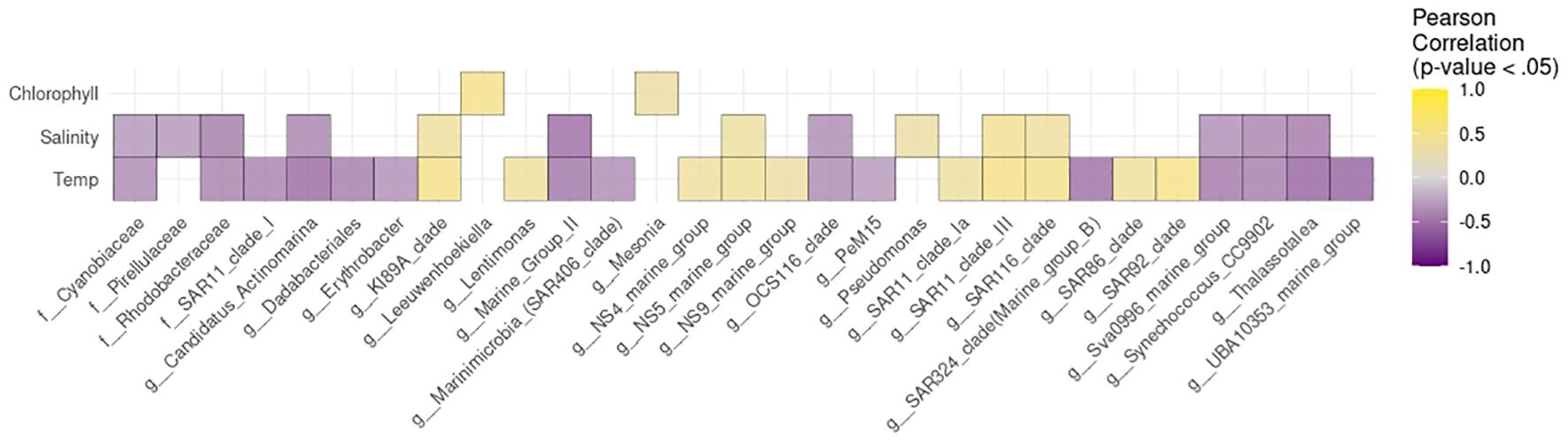Heatmap illustrating Pearson correlation between various bacterial families and environmental factors: chlorophyll, salinity, and temperature. Correlation coefficients range from -1.0 (purple) to 1.0 (yellow), with labels listing bacterial families and groups.