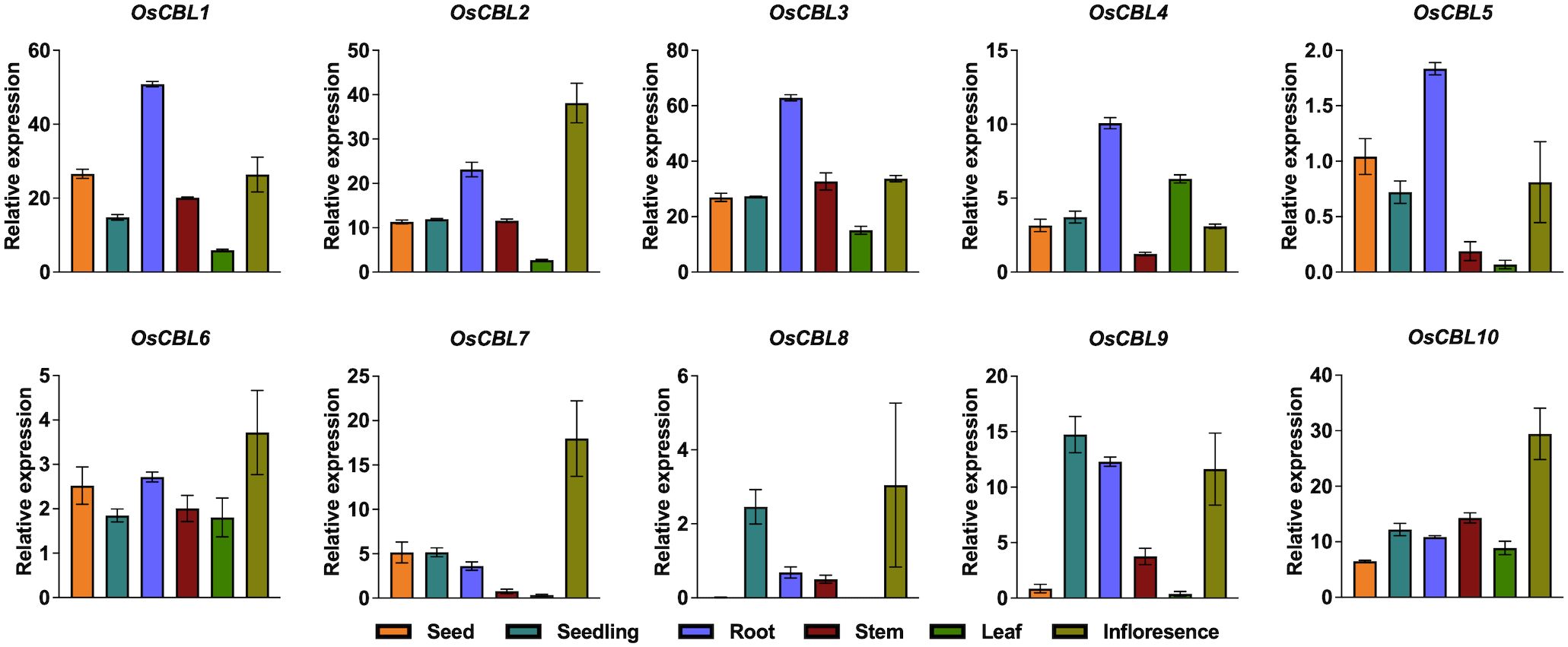 Bar charts showing relative expression levels of ten OsCBL genes in different plant tissues: seed, seedling, root, stem, leaf, and inflorescence. Each chart compares expression levels across these tissues, with varying values for each gene. Error bars indicate variability.