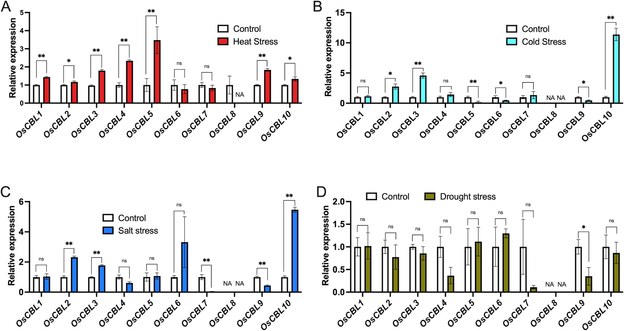 Bar graphs labeled A to D depict the relative expression of OsCBL genes under various stress conditions. A compares control and heat stress, B shows control and cold stress, C illustrates control and salt stress, and D presents control and drought stress. Significant differences are marked with asterisks, while “ns” indicates non-significance. Each graph displays different patterns of gene expression changes under stress conditions compared to control.