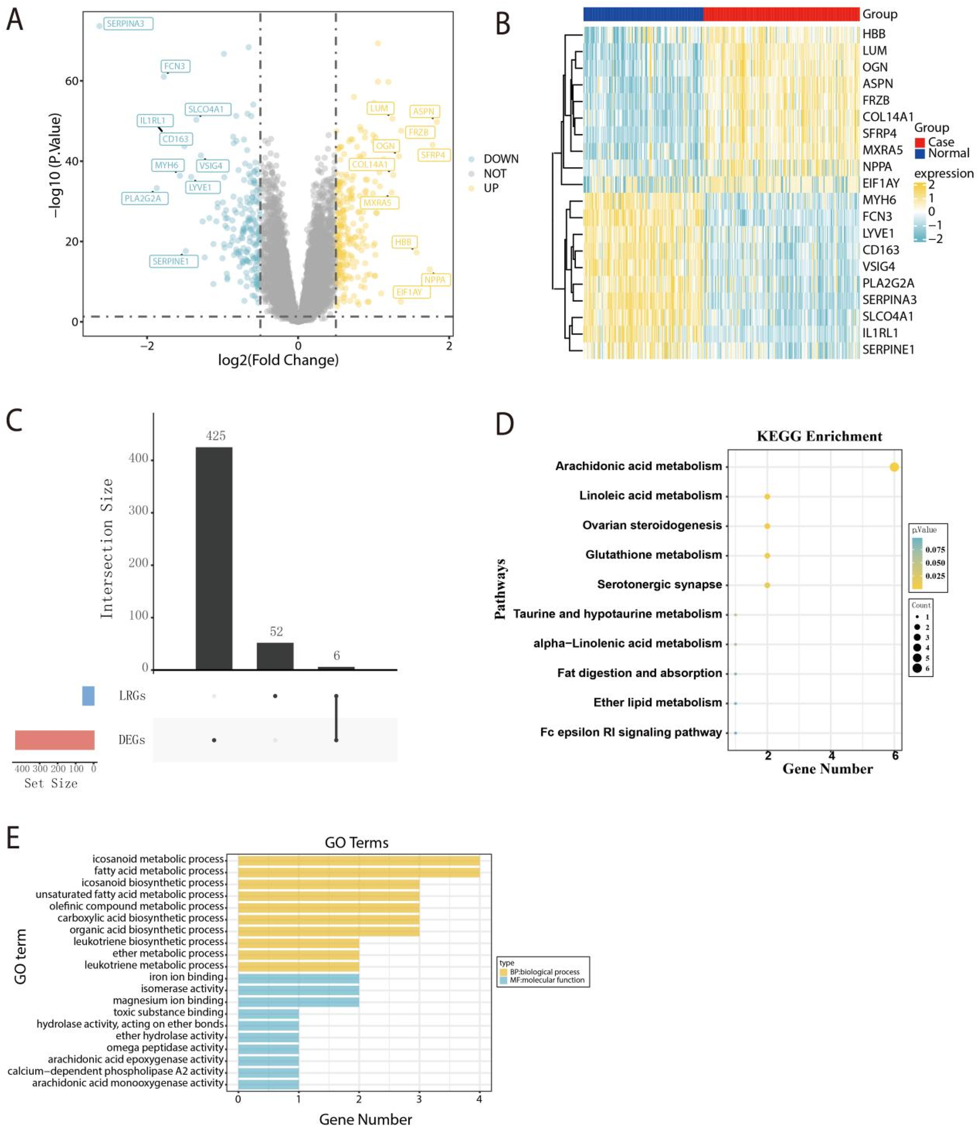 A collection of five bioinformatics data visualizations:\n\nA) A volcano plot displaying gene expression changes with genes highlighted in blue (downregulated) and yellow (upregulated).\n\nB) A heatmap showing gene expression levels differentiated by case and normal groups.\n\nC) A bar graph illustrating the intersection size of LRGs and DEGs.\n\nD) A scatter plot showing KEGG enrichment pathways with varying p-values and gene counts.\n\nE) A bar chart displaying gene ontology terms classified into biological processes and molecular functions with varying gene numbers.