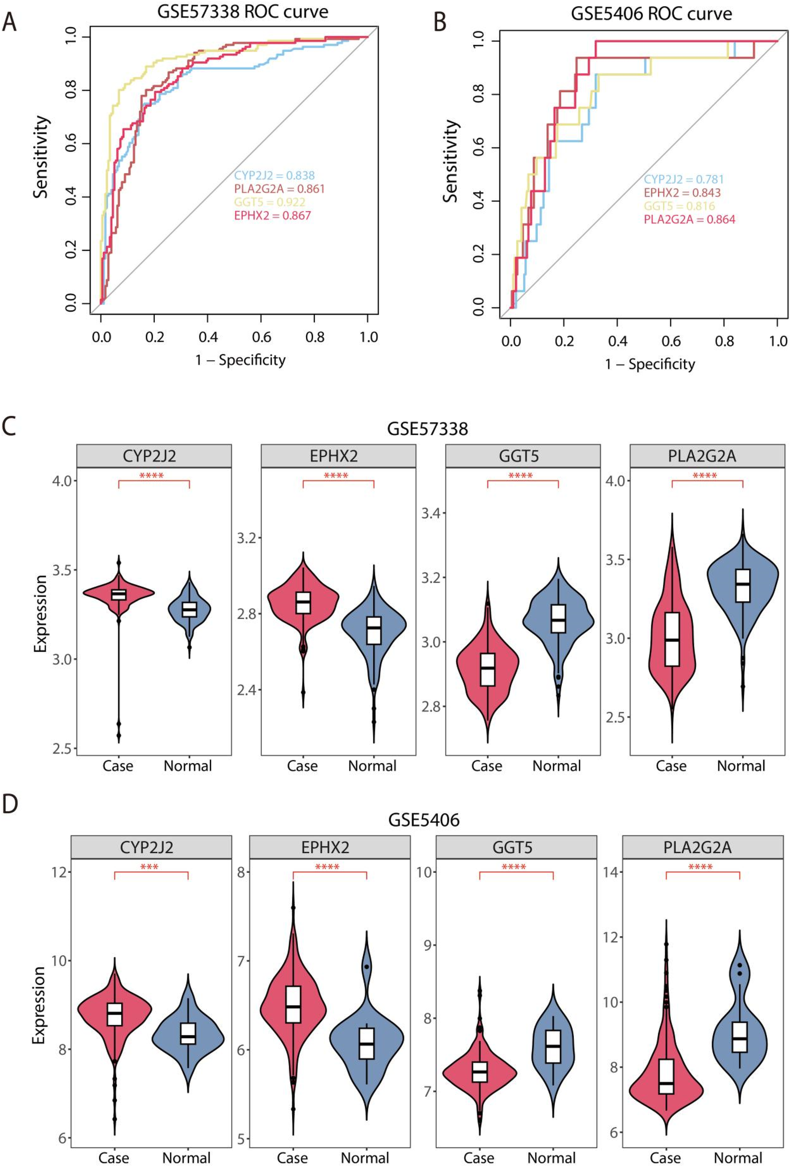 Graphs A and B are ROC curves for datasets GSE57338 and GSE5406, showing sensitivity versus specificity for four genes. Graphs C and D are violin plots depicting gene expression levels for CYP2J2, EPHX2, GGT5, and PLA2G2A in case versus normal samples for the same datasets. Significant differences are indicated with asterisks.