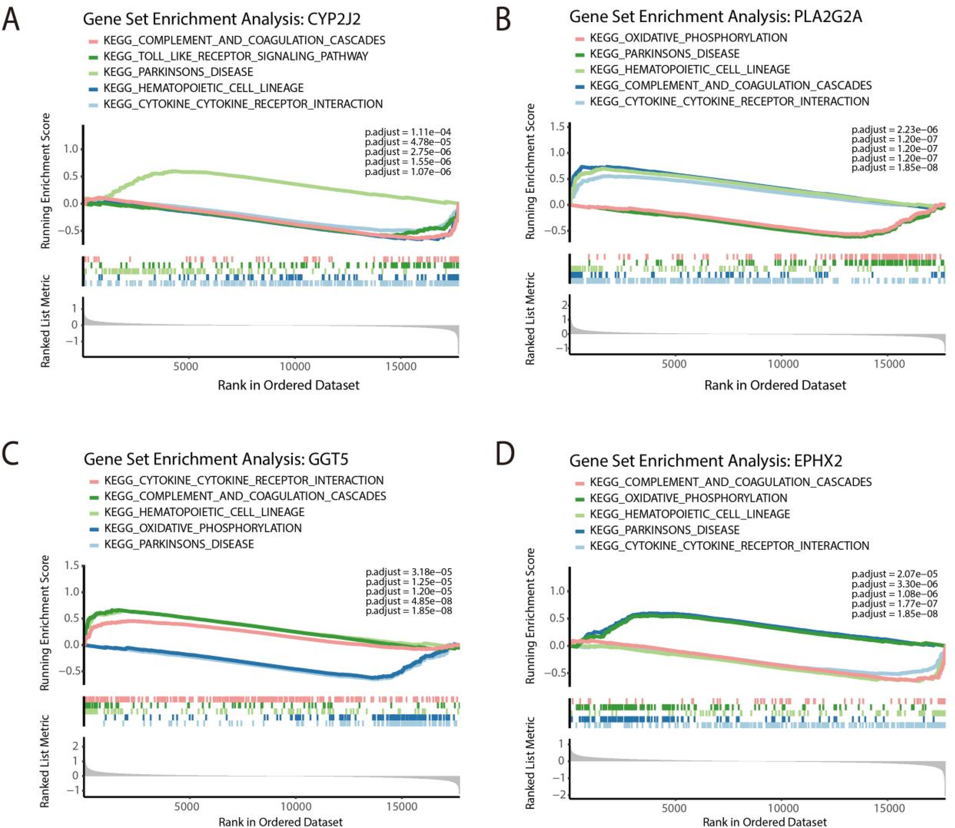 Gene set enrichment analysis graphs for four gene sets: CYP2J2, PLA2G2A, GGT5, and EPHX2, labeled as A, B, C, and D respectively. Each panel displays running enrichment scores versus rank in the ordered dataset with different KEGG pathways: complement and coagulation cascades, oxidative phosphorylation, hematopoietic cell lineage, Parkinson's disease, cytokine-cytokine receptor interaction, and toll-like receptor signaling pathway. Adjusted p-values are noted for each pathway, ranging from significant to highly significant. The data visualization indicates pathway enrichment across different gene sets with corresponding ranked list metrics.