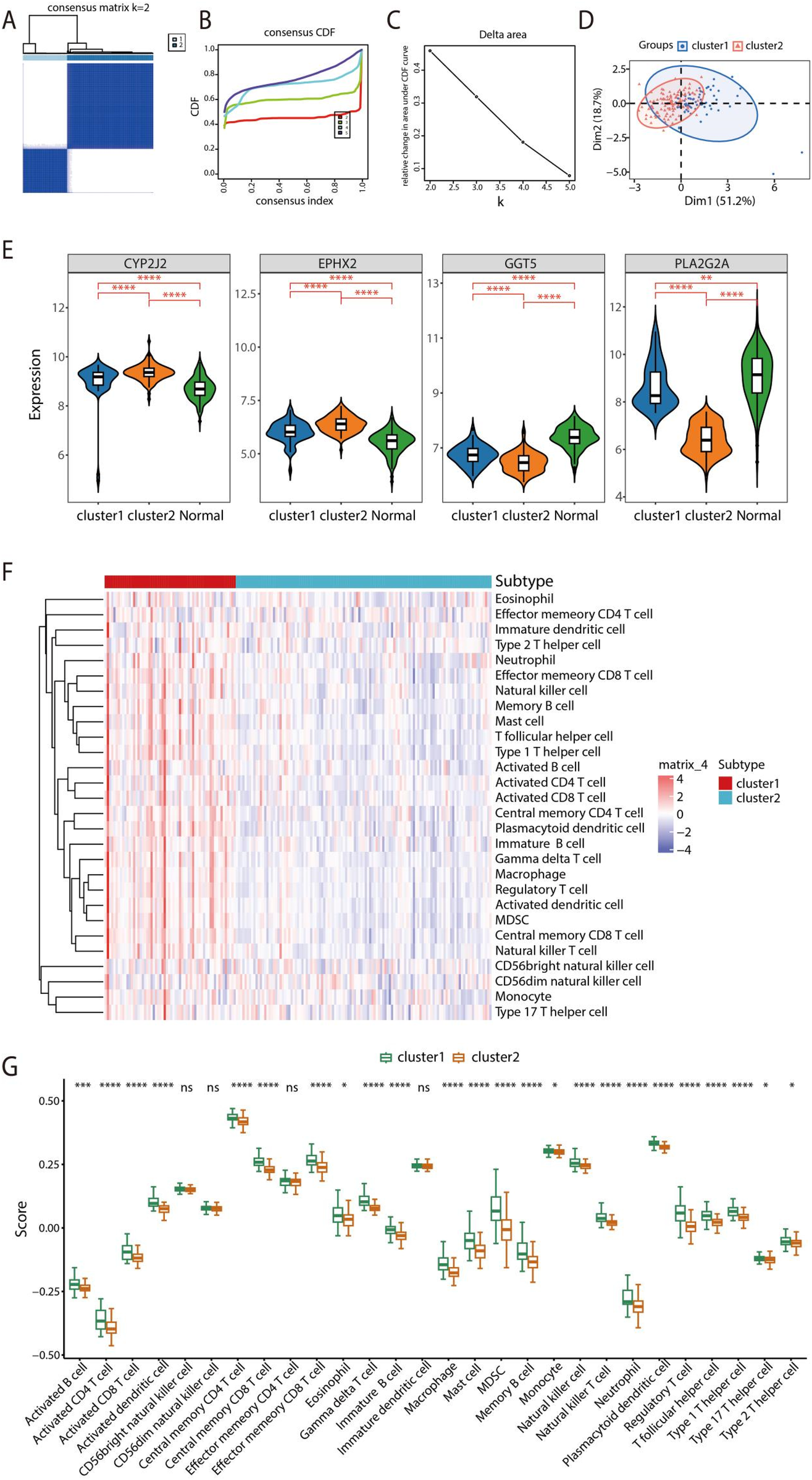 Cluster analysis results are displayed in multiple panels. Panel A shows a consensus matrix heatmap for \\( k = 2 \\). Panel B presents consensus cumulative distribution functions (CDF) for various \\( k \\) values. Panel C displays a delta area plot. Panel D depicts a scatter plot differentiating two clusters. Panel E includes violin plots illustrating gene expression differences between groups in four genes: CYP2J2, EPHX2, GGT5, and PLA2G2A. Panel F features a heatmap representing cell subtype distributions. Panel G provides box plots comparing cell type scores between clusters, highlighting significant differences with asterisks.