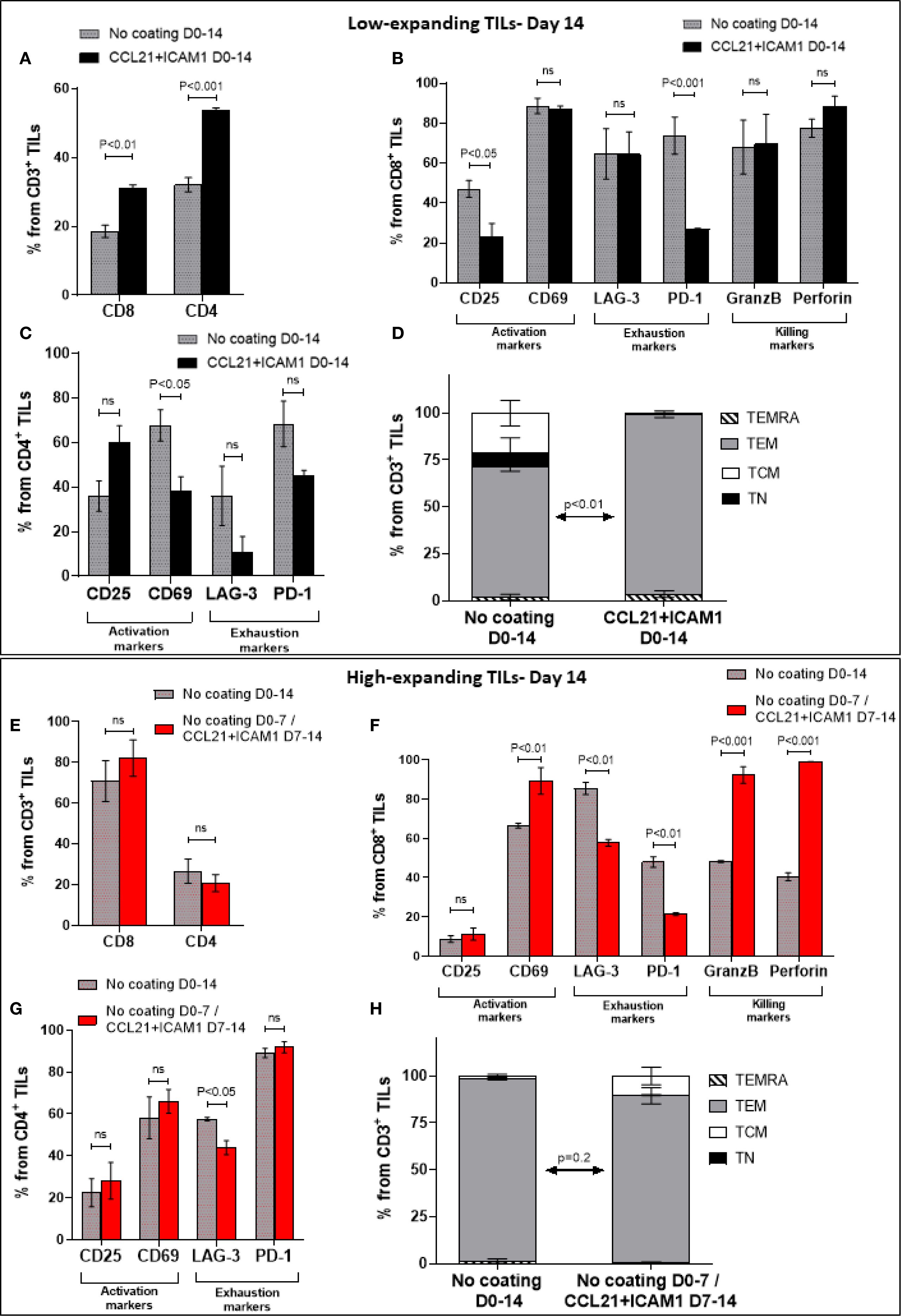 Bar charts depict the percentage of T cells (CD8 and CD4) and their activation, exhaustion, and killing markers in low- and high-expanding tumor-infiltrating lymphocytes (TILs) at Day 14. Panels A-D focus on low-expanding TILs, comparing conditions with and without CCL21+ICAM1 coating. Panels E-H show high-expanding TILs, comparing conditions with different durations of coating. Statistical significance is indicated with P-values, highlighting differences between conditions.