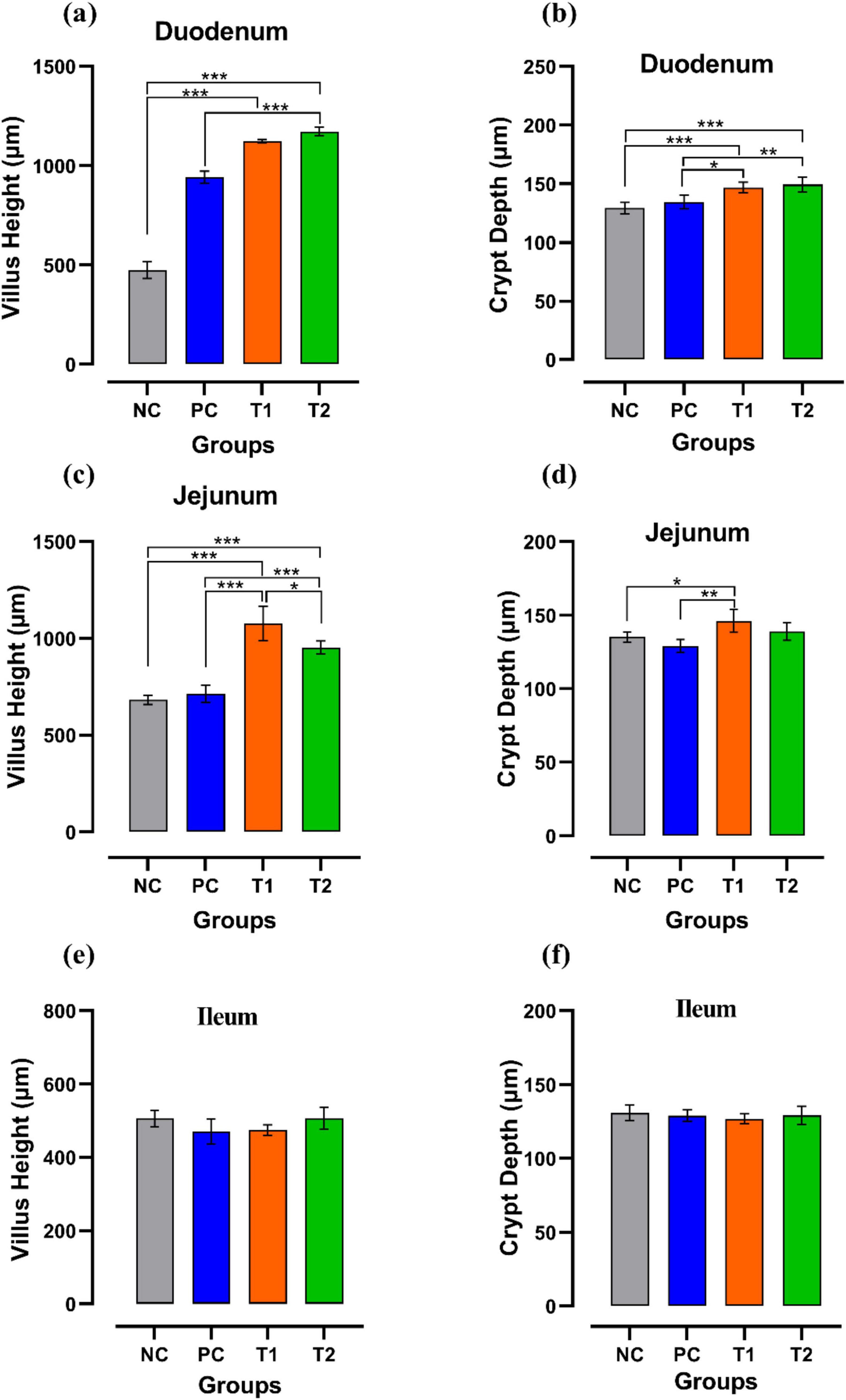 Bar charts displaying change in immune parameters after multi-strain probiotics supplementation over different days of the trial. In duodenum: (a) villus height (micro meter), (b) crypt depth (micro meter); in jejunum, (c) villus height (micro meter) (d) crypt depth (micro meter); and in ileum: (e) villus height (micro meter) (f) crypt depth (micro meter). Significant differences are marked by asterisks.