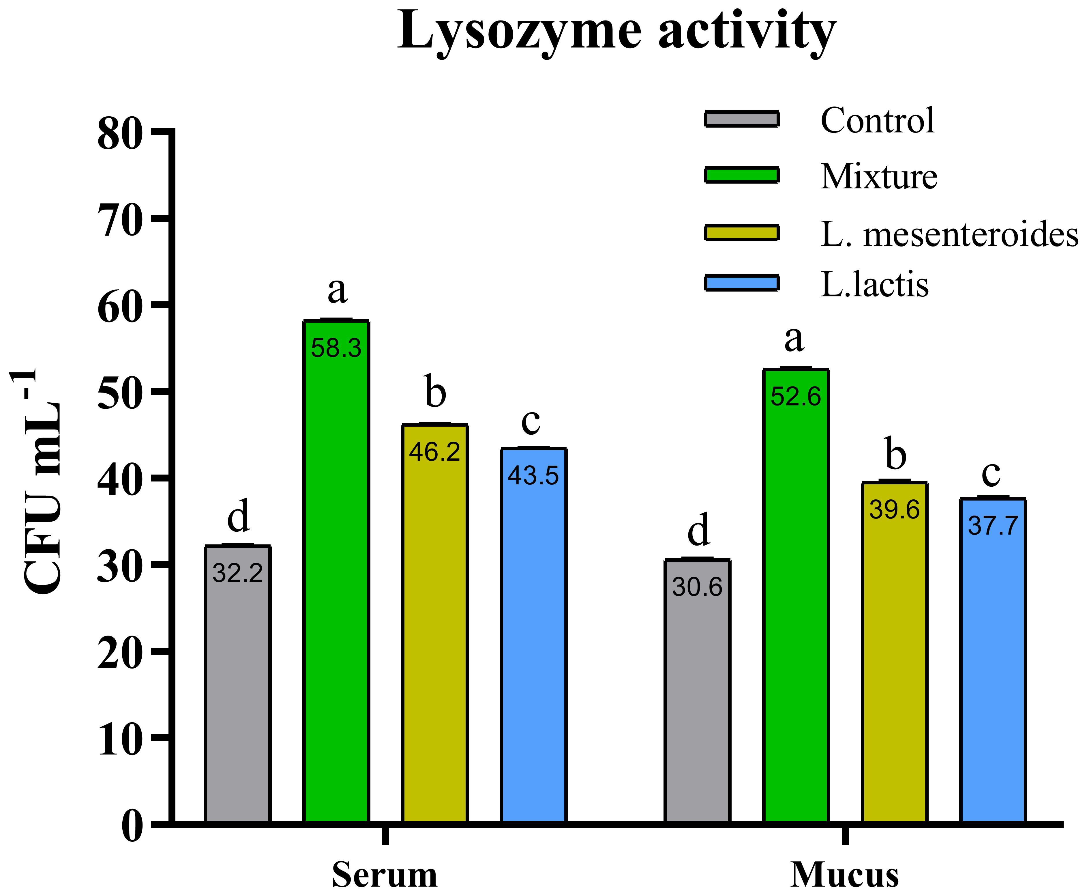 Bar chart titled “Lysozyme activity” showing colony-forming units per milliliter (CFU mL⁻¹) for serum and mucus. Bars represent Control, Mixture, L. mesenteroides, and L. lactis. In both serum and mucus, the Mixture shows the highest activity, followed by L. mesenteroides, L. lactis, and Control. Bars are labeled with letters indicating statistical significance.