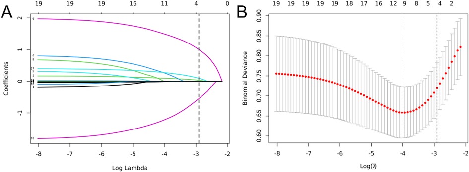 Graph A displays coefficient paths as functions of log lambda, showing various lines in different colors converging to zero. Graph B depicts binomial deviance versus log lambda with a dotted red line showing a U-shaped curve, indicating optimal lambda values. Vertical dashed lines highlight key points on both graphs.