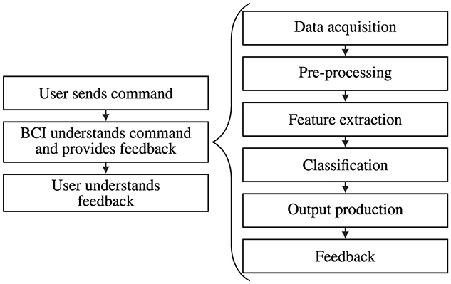 Flowchart illustrating a Brain-Computer Interface (BCI) process. Left path: User sends command, BCI understands command and provides feedback, user understands feedback. Right path: Data acquisition, pre-processing, feature extraction, classification, output production, feedback.