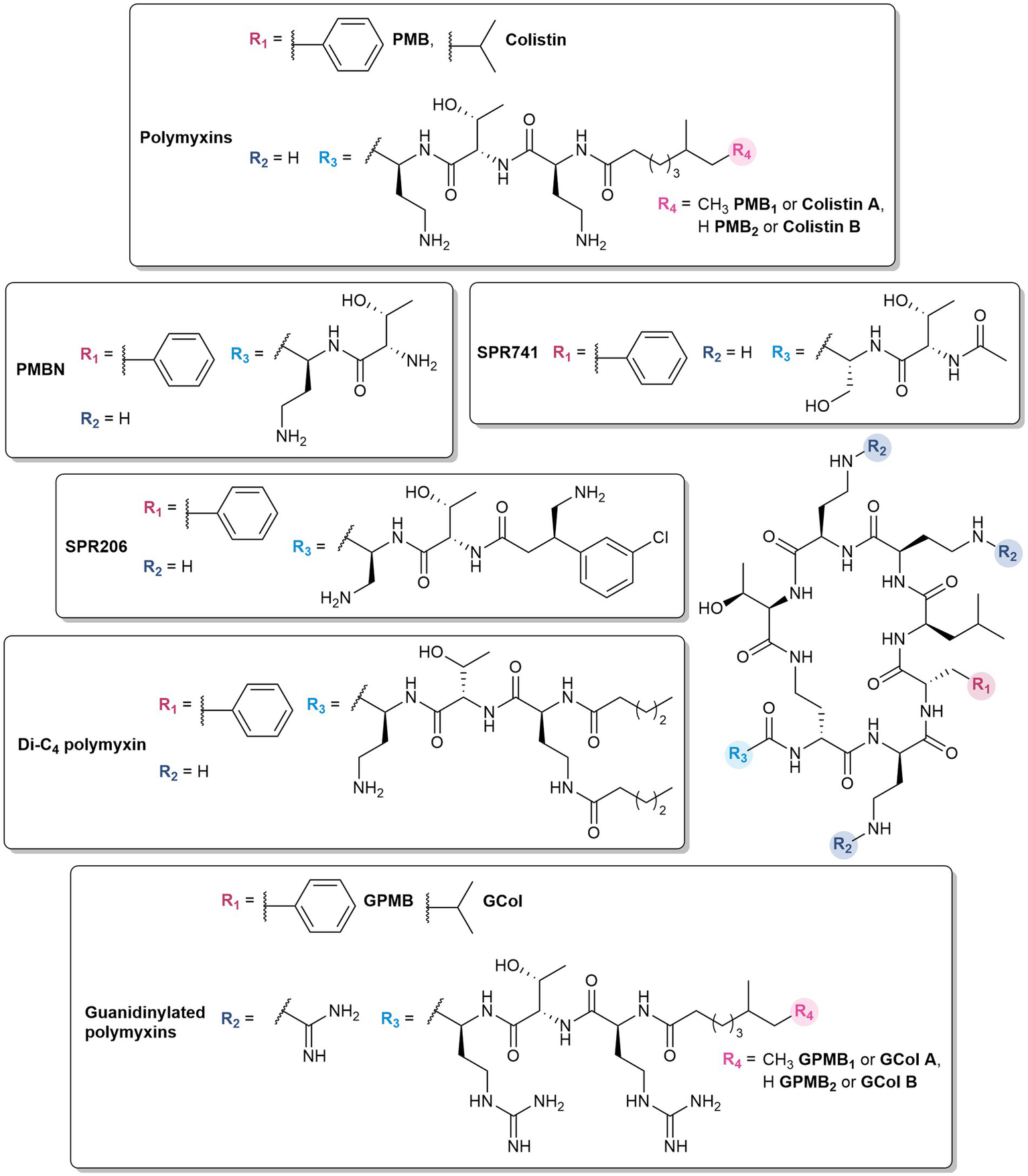 Chemical structures of polymyxins and their derivatives are shown. The compounds include polymyxins, PMBN, SPR741, SPR206, Di-C4 polymyxin, and guanidinylated polymyxins. Variations in molecular configurations and substitutions at positions R1, R2, R3, and R4 are identified, with detailed chemical groups described for each derivative.