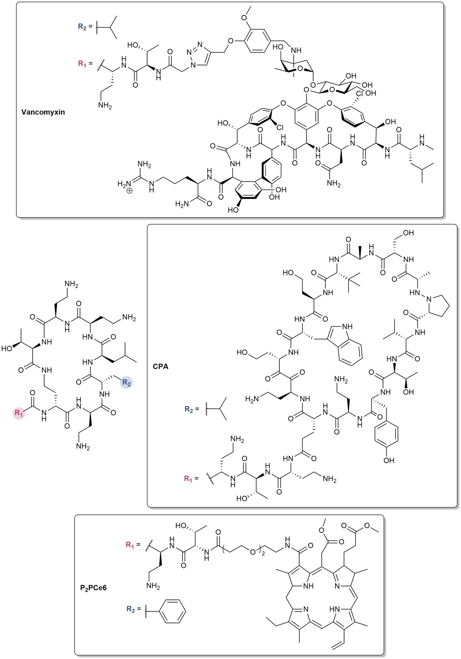Chemical structures of three compounds are shown in separate panels. The top panel displays Vancomycin with side chains labeled R1 and R2. The bottom left panel shows a structure labeled CPA, with R1 and R2 indicating variable groups. The bottom right panel depicts P2PCe6, also with R1 and R2 substitutions. Each panel includes complex organic structures with various functional groups.