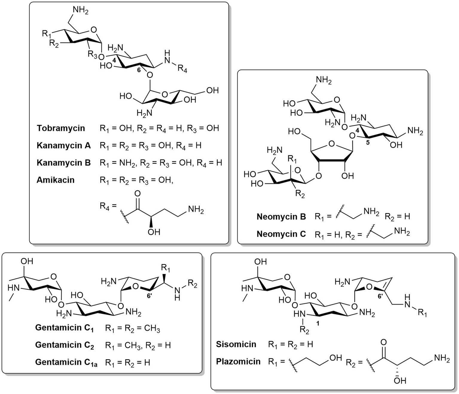 Chemical structures of various antibiotics are shown, categorized into groups. The image includes the structural formulas for Tobramycin, Kanamycin A and B, Amikacin, Neomycin B and C, Gentamicin C₁, C₂, C₁ₐ, Sisomicin, and Plazomicin, with variations in chemical groups denoted by R₁, R₂, R₃, and R₄. Each box contains specific molecular structures and annotations indicating differences in molecular configuration.