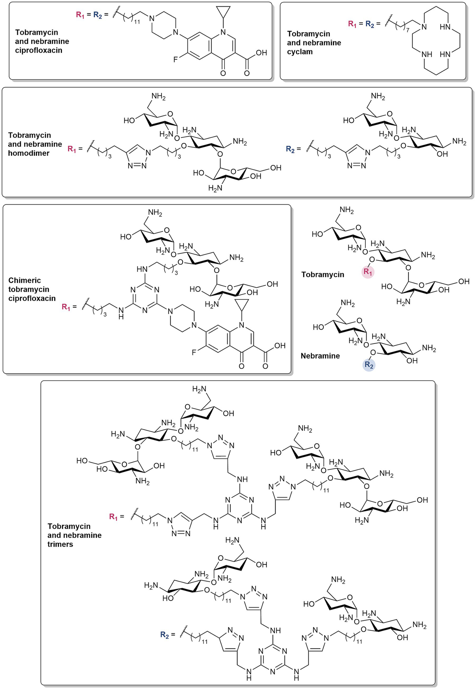 Chemical structures of various tobramycin and nebramine derivatives are displayed, including ciprofloxacin, cyclam, homodimer, chimeric ciprofloxacin, and trimers. Each structure is annotated with labels such as R1 and R2, indicating different chemical group substitutions on the tobramycin and nebramine molecules.
