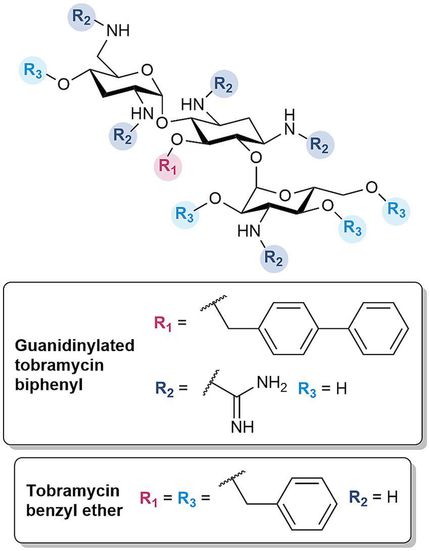 Chemical structure of a modified tobramycin, showing a central framework with various side groups labeled R1, R2, and R3. The R1 group corresponds to benzyl or biphenyl groups, R2 is a guanidino group, and R3 is hydrogen, as shown in two labeled sections: "Guanidinylated tobramycin biphenyl" and "Tobramycin benzyl ether".