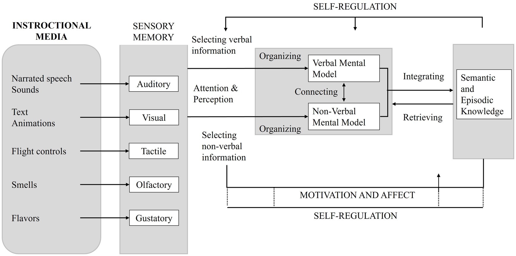 Flowchart illustrating the process of information processing in learning. Instructional media inputs like sounds and text are perceived through sensory memory (auditory, visual, tactile, olfactory, gustatory). Information is selected and organized into verbal and non-verbal mental models. These models are connected and integrated into long-term memory as semantic and episodic knowledge. Self-regulation and motivation influence this process.