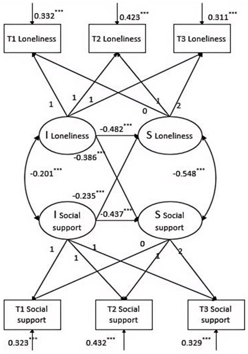 A structural equation model illustrating relationships between loneliness and social support at three time points (T1, T2, T3). Rectangles indicate time-specific variables, including loneliness and social support. Ovals represent I Loneliness, S Loneliness, I Social Support, and S Social Support, with pathways showing coefficients and statistical significance levels. Arrows indicate directionality, and coefficients are labeled with significance levels (e.g., triple asterisks for p<0.001).