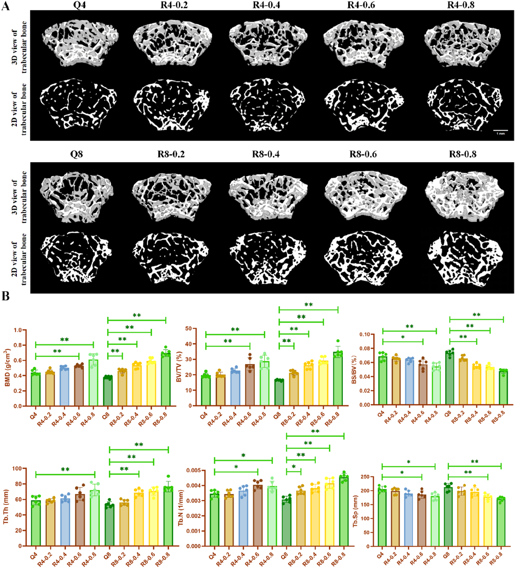 Panel A shows 3D and 2D views of trabecular bone across eight conditions labeled Q4, R4-0.2, R4-0.4, R4-0.6, R4-0.8, Q8, R8-0.2, R8-0.4, R8-0.6, and R8-0.8. Panel B includes bar graphs representing bone mineral density (BMD), bone volume to total volume ratio (BV/TV), bone surface to volume ratio (BS/BV), trabecular thickness (Tb.Th), trabecular number (Tb.N), and trabecular separation (Tb.Sp) for each condition, with statistical significance indicated by asterisks.