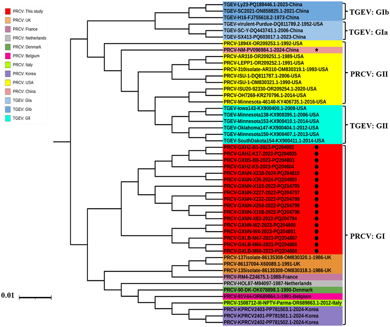 Phylogenetic tree diagram showing the relationships among different strains of PRCV and TGEV viruses from various countries. It includes color-coded classifications: red (this study), orange (UK), purple (France), dark purple (Netherlands), light green (Denmark), dark green (Belgium), bright green (Italy), dark blue (Korea), dark pink (USA), yellow (China), light blue (TGEV GIa), light cyan (TGEV GIb), and aqua (TGEV GII). The tree is divided into clades labeled TGEV: GIb, GIa, GII, and PRCV: GII, GI. A scale bar indicates a distance of 0.01.