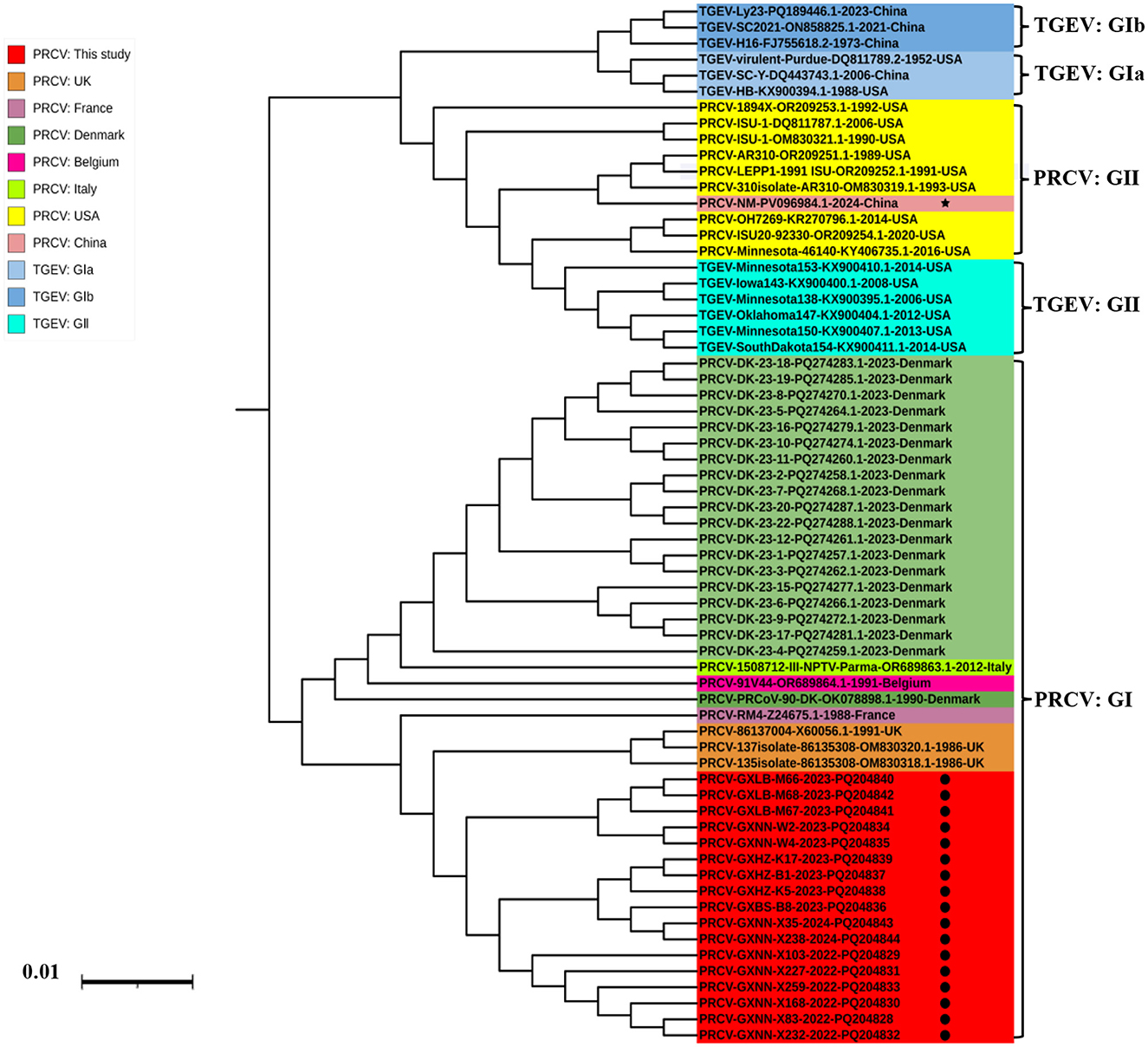 Phylogenetic tree diagram depicting the relationships among different PRCV and TGEV strains from various countries. Color-coded legend indicates study origin: red for this study, and other colors for the UK, France, Denmark, Belgium, Italy, USA, China. Cluster labels include TGEV Gla, GIa, PRCV GI, and GII. Scale bar shows 0.01 distance.