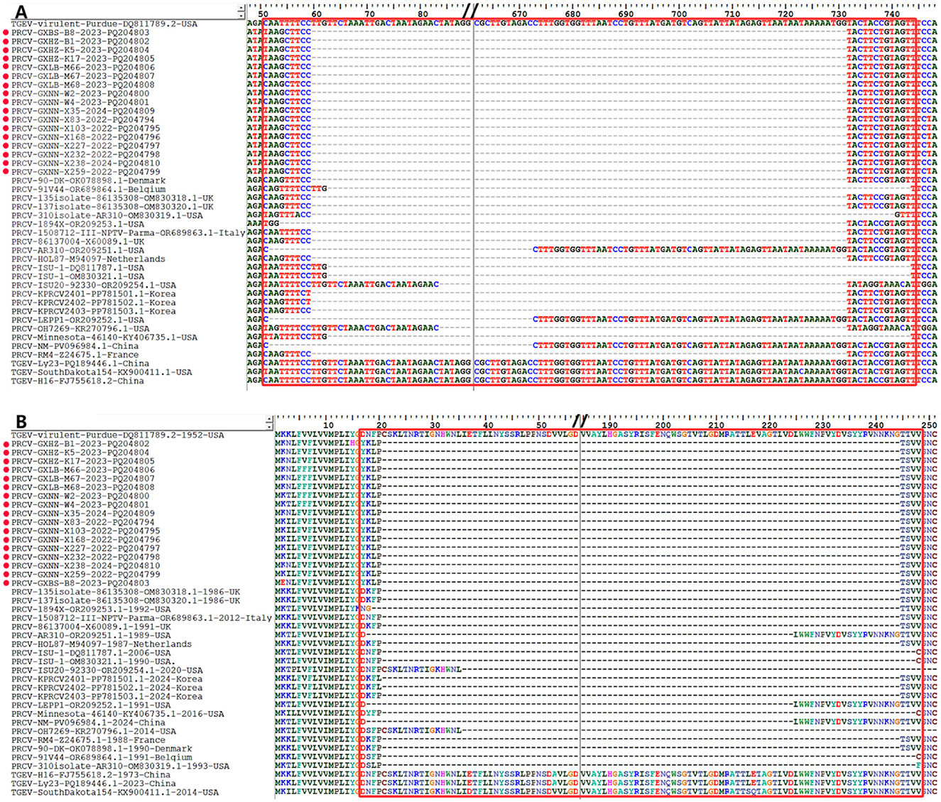 Two-panel alignment charts comparing genomic sequences. Panel A shows a nucleotide sequence alignment from various PRCV and TGEV isolates across different regions, showcasing variations in sequence patterns. Panel B displays a protein sequence alignment for the same isolates, highlighting conserved and variable amino acid regions. Both panels list isolate names, collection years, and countries of origin on the left side of the alignments.