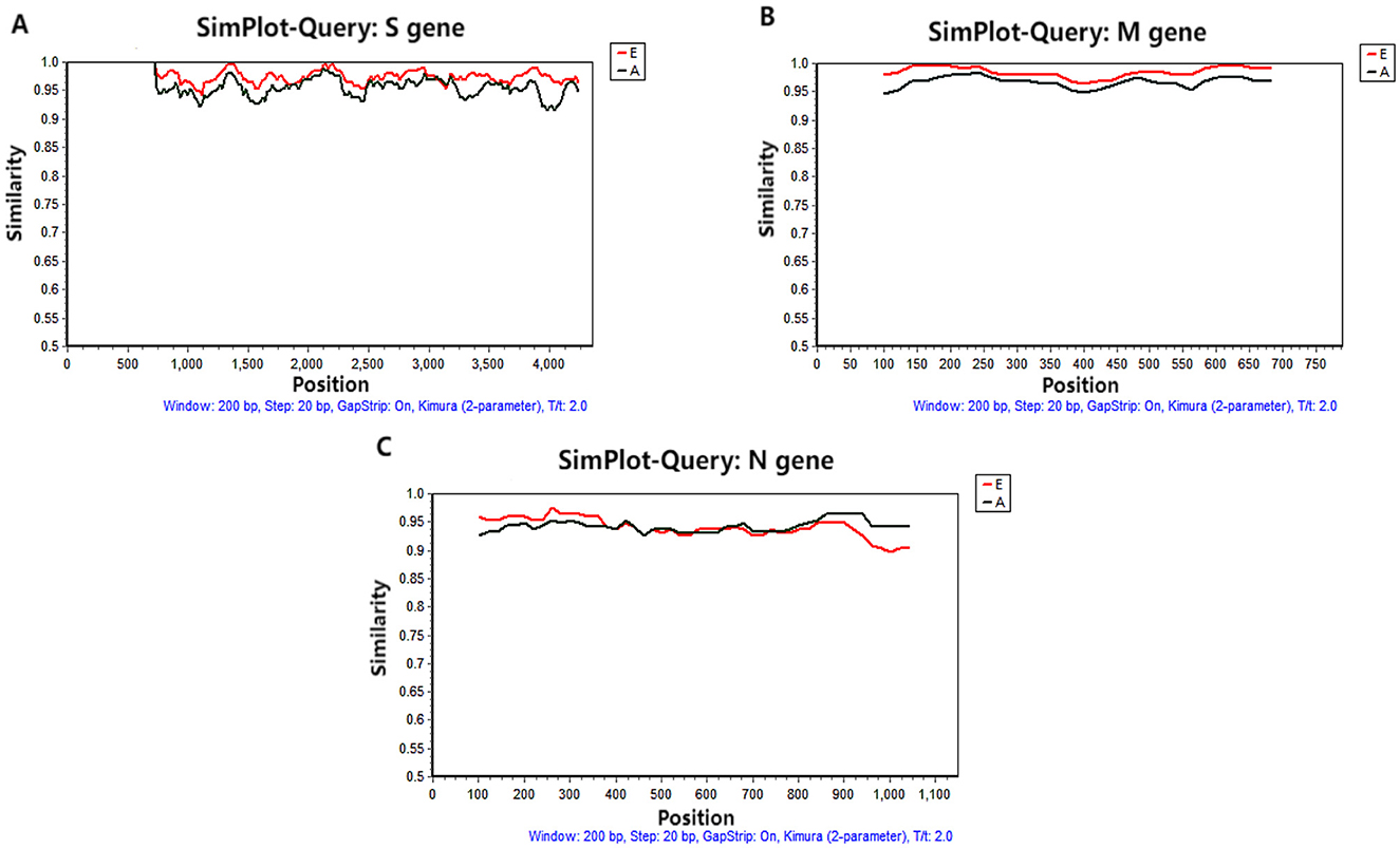 Three similarity plots comparing sequences of different genes. (A) Similarity plot for the S gene shows fluctuating similarity around 0.95 to 1.0 across 4,000 positions. (B) Plot for the M gene indicates stable similarity close to 1.0 over 750 positions. (C) N gene plot displays similarity between 0.85 and 0.95 over 1,100 positions. The red and black lines represent different sequence versions, E and A, respectively.