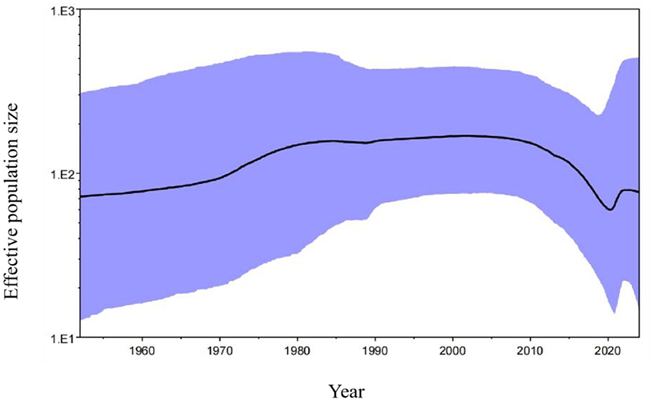 Line graph showing effective population size from 1950 to 2020. The y-axis represents the effective population size, and the x-axis represents the year. A central black line indicates the population trend, surrounded by a blue shaded area showing variance. The population size is stable from 1950 to 2005, dips around 2010, and stabilizes by 2020.