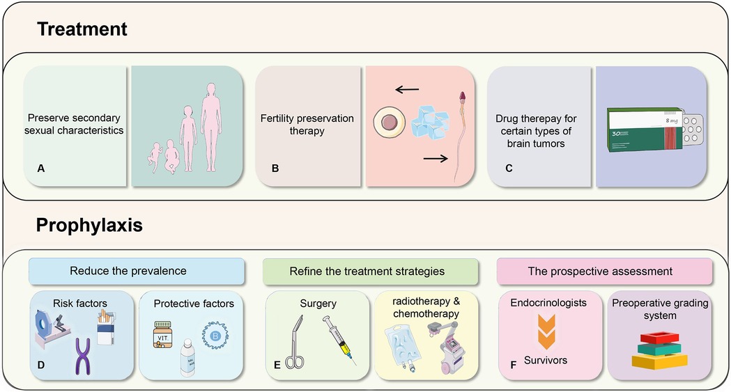 Diagram divided into two sections: Treatment and Prophylaxis. Treatment methods include (A) preserving secondary sexual characteristics, (B) fertility preservation therapy, and (C) drug therapy. Prophylaxis methods include (D) reducing the prevalence, (E) refining treatment strategies, and (F) prospective assessments.