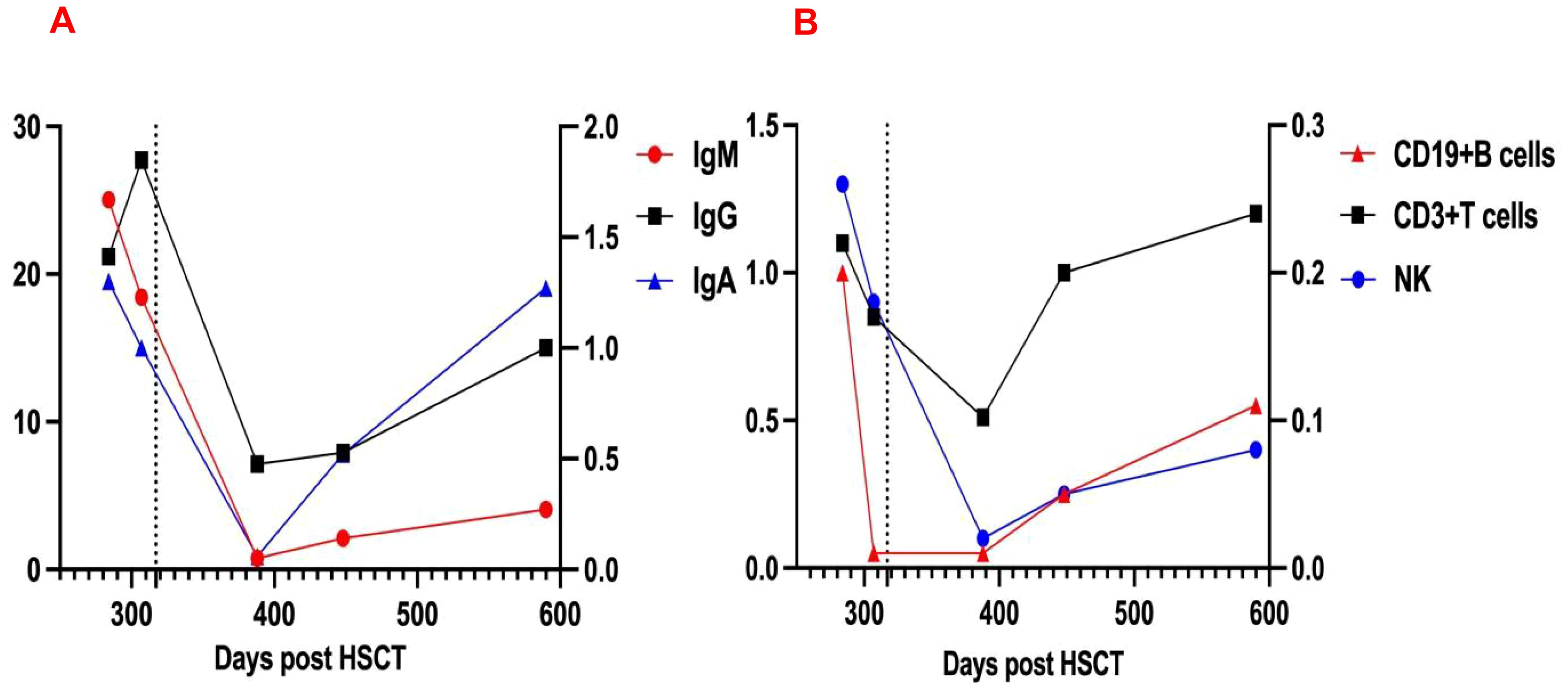 Two line graphs labeled A and B show immunoglobulin and cell population levels over days post-hematopoietic stem cell transplantation (HSCT). Graph A depicts IgM, IgG, and IgA levels, initially high, decreasing until day 400, then gradually increasing. Graph B shows CD19+B cells, CD3+T cells, and NK cells with a similar initial decline, followed by a gradual rise post-400 days.