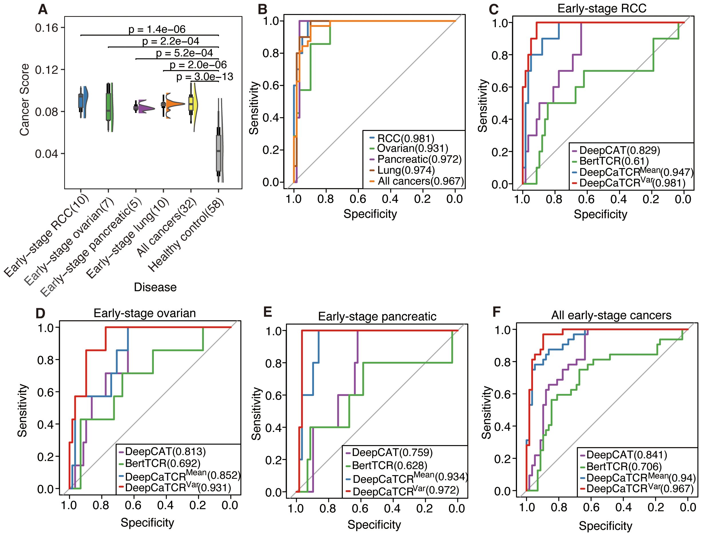 Panel A displays a box plot comparing cancer scores across various groups, including early-stage cancers and healthy controls. Panels B to F illustrate ROC curves for early-stage RCC, ovarian, pancreatic cancers, and all early-stage cancers, showing sensitivity versus specificity for different prediction models. Each panel includes a legend with model performance metrics, such as DeepCAT, BertTCR, and DeepCaTCR variants, indicated by their area under the curve (AUC) values.