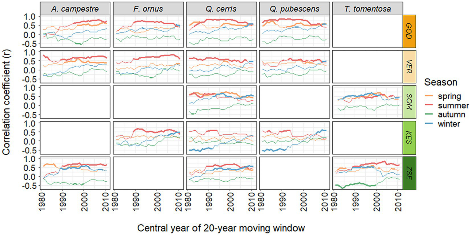 Grid of line graphs showing correlation coefficients over time from 1980 to 2010 for five tree species and various seasons. The species are A. campestre, F. ornus, Q. cerris, Q. pubescens, and T. tomentosa. Seasons are color-coded: spring (orange), summer (red), autumn (green), and winter (blue). Each column represents a species, and each row represents different seasonal study areas labeled GOD, VER, SOM, KES, and ZSE.