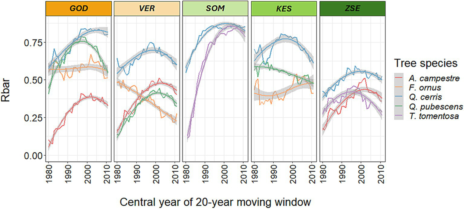 Five-panel line graph showing Rbar values of different tree species over time from 1980 to 2010. Panels are titled GOD, VER, SOM, KES, and ZSE. Species include A. campestre, F. ornus, Q. cerris, Q. pubescens, and T. tomentosa, each in distinct colors. Lines indicate fluctuating trends, with some showing an upward trajectory peaking around 2000.