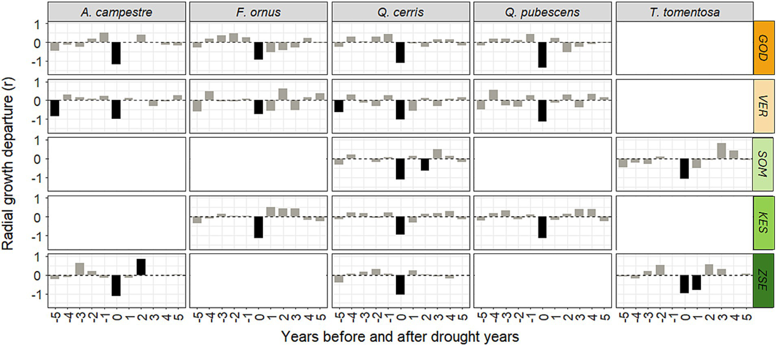 Graphs displaying radial growth departure for five tree species following drought years, spanning five years before and after. Each row represents different regions (GOD, VER, SOM, KES, ZSE) and columns show species. Bars indicate growth changes, with negative departures noted.