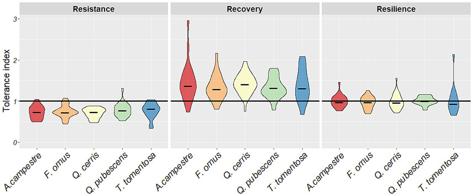 Violin plot illustrating tolerance indices for different species across three factors: resistance, recovery, and resilience. Each species, labeled along the x-axis, shows varying distributions of tolerance indices on the y-axis ranging from zero to three.