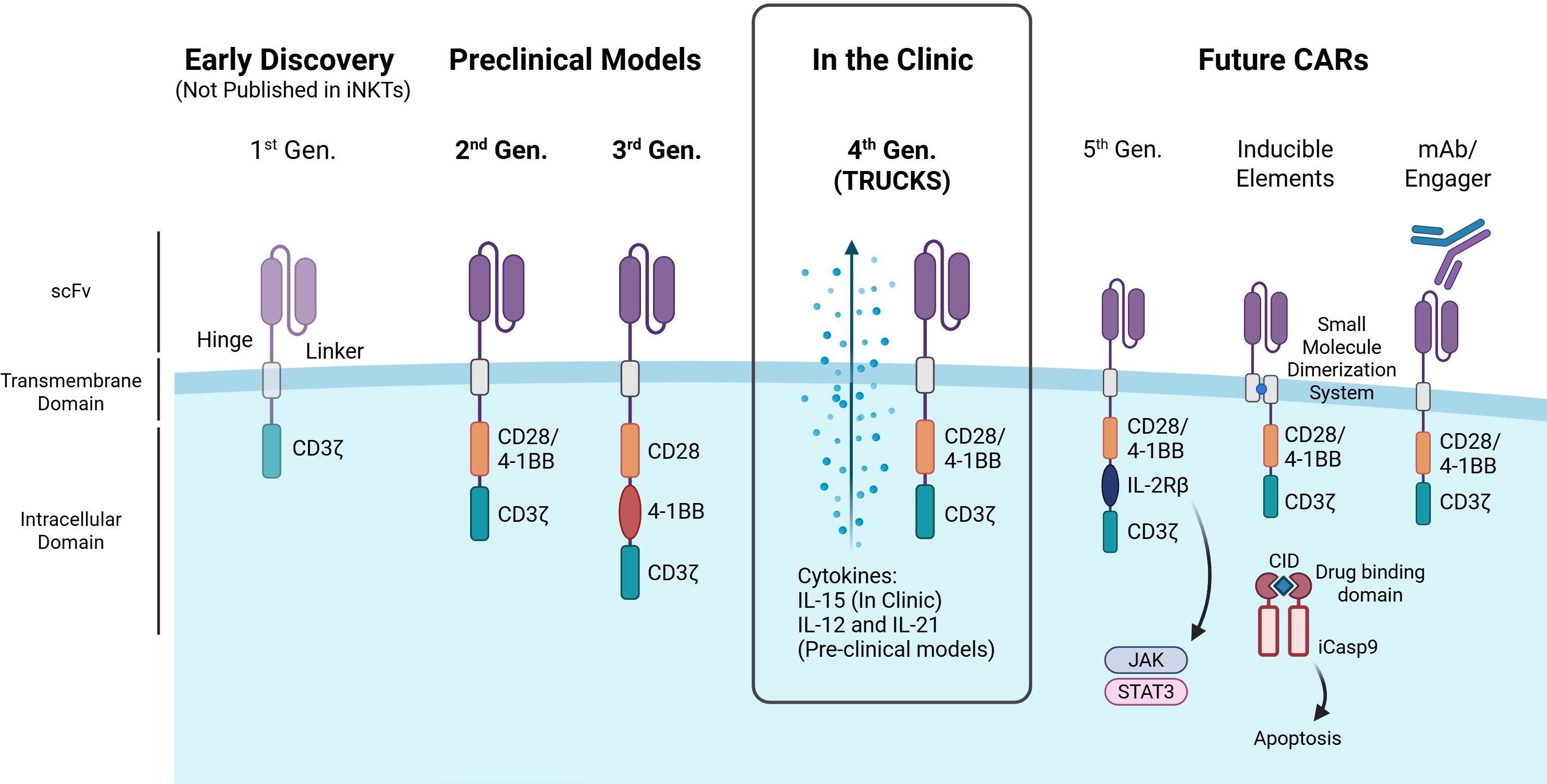 A diagram illustrating the evolution of chimeric antigen receptor (CAR) designs across generations, highlighting which constructs have been tested in iNKT cells, with a distinction between preclinical models and clinical-stage applications. Each generation includes variations in components like the intracellular domain (e.g., CD3z, CD28, 4-1BB), with additional elements such as cytokines and drug binding domains. Features like inducible elements and apoptosis systems are highlighted for future CARs, illustrating enhancements in functionality and control for therapies.