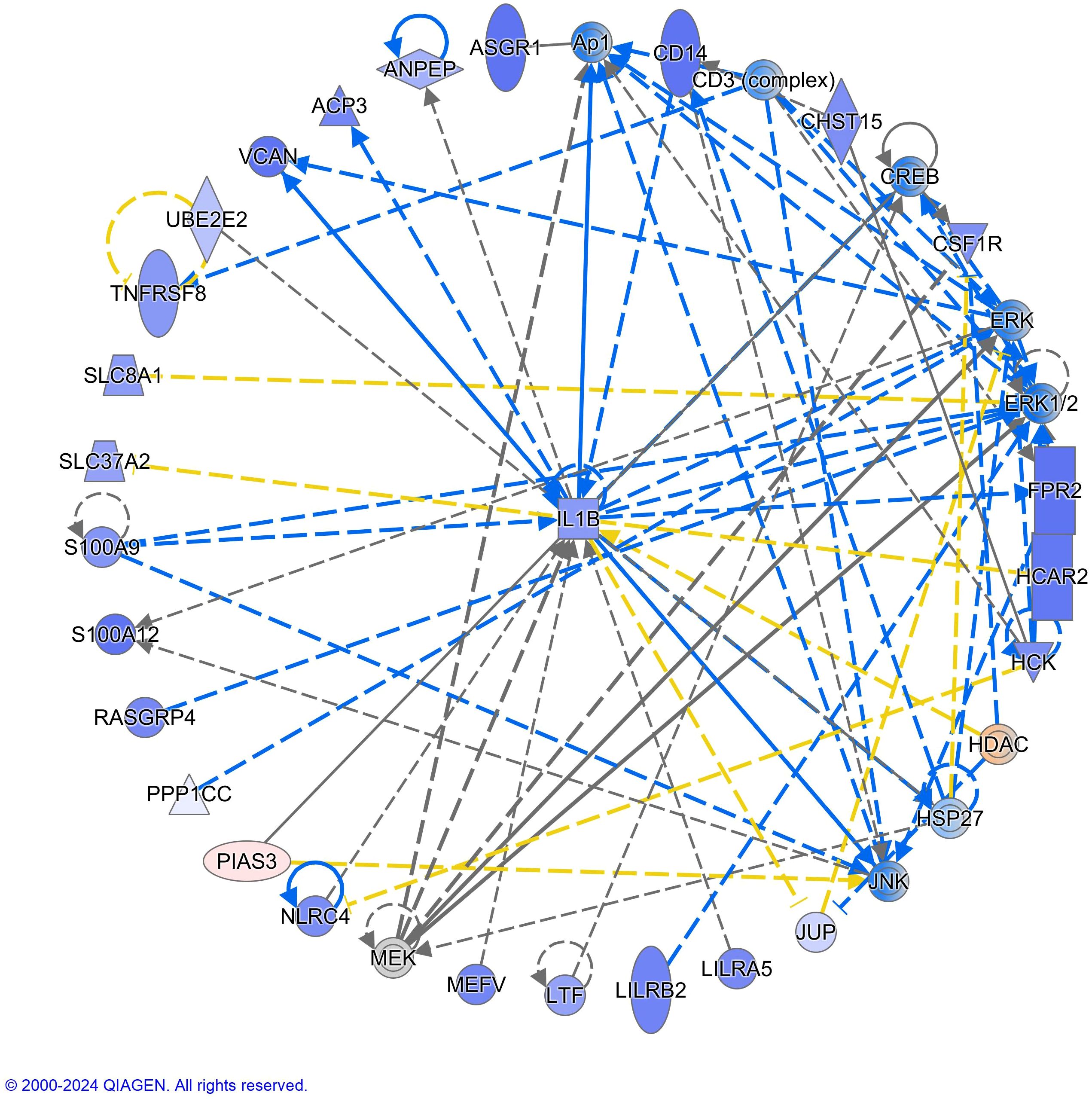 Network diagram illustrating the interactions between various proteins and complexes, centered around IL1B. Lines in different colors and styles denote types of interactions or pathways. Each node is labeled with a protein name, such as ASGR1, CD14, and CREB.