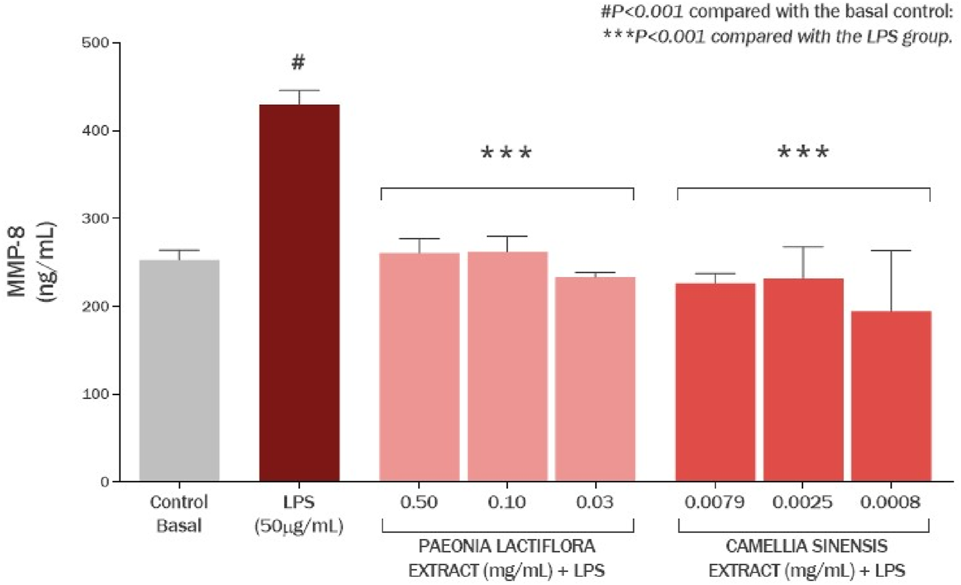 Bar chart showing MMP-8 levels in nanograms per milliliter across different treatments. The LPS bar is highest at over 400 nanograms per milliliter, significantly higher than the control. Bars for Paeonia lactiflora and Camellia sinensis extracts reduce MMP-8 levels, with significance marked by asterisks. Statistical notes indicate differences compared to basal controls and the LPS group.