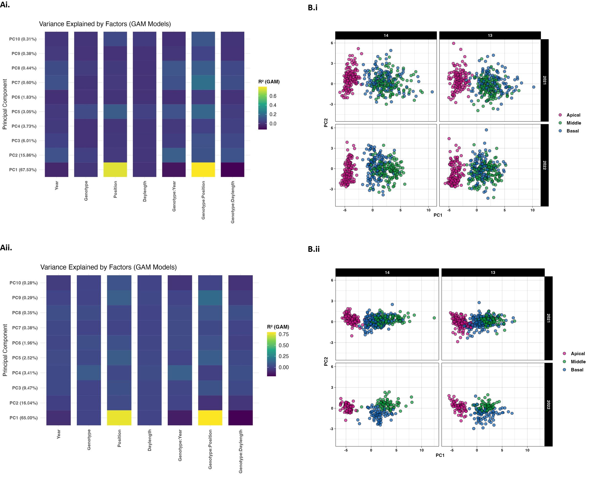 The image consists of two main parts labeled Ai. and Aii. on the left, and Bi. and Bii. on the right. - Ai. and Aii. show bar charts titled “Variance Explained by Factors (GAM Models)” for ten principal components, with factors like Year, Genotype, and Position. Bars are shaded from dark blue to yellow, indicating variance values from 0 to at least 0.60. - Bi. and Bii. display scatter plots comparing PC1 and PC2 over two years (2001 and 2002) for different positions (Apical, Middle, Basal) marked in pink, green, and blue respectively. Each grid contains two scatter plots with cluster patterns highlighted.