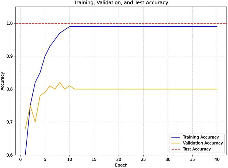 Line graph displaying training, validation, and test accuracy over 40 epochs. Training accuracy (blue line) rises rapidly to near 1.0. Validation accuracy (orange line) fluctuates around 0.8. Test accuracy (red dashed line) is constant at 1.0.