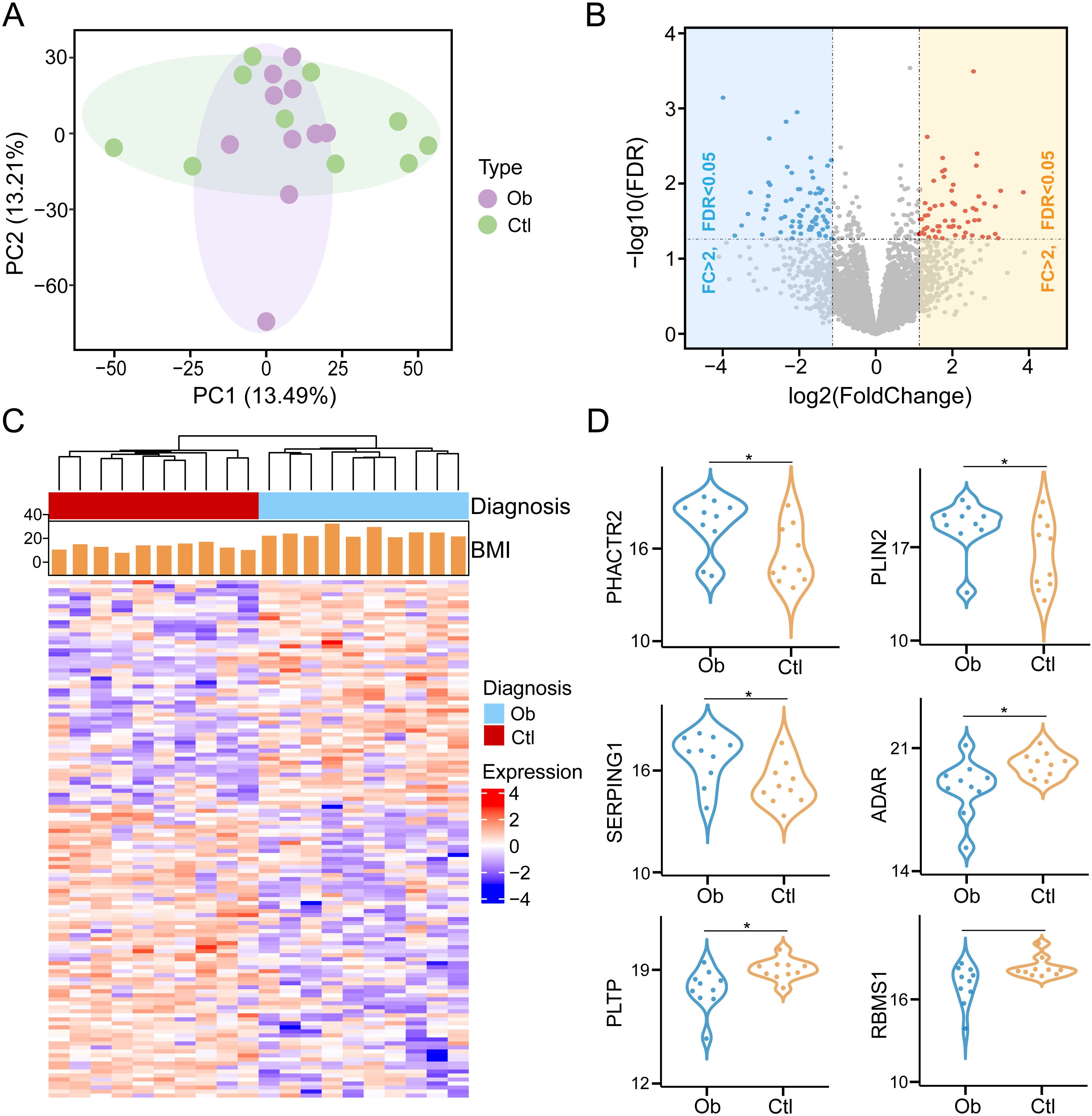 Panel A shows a PCA plot differentiating samples by type; Ob (purple) and Ctl (green). Panel B is a volcano plot with log2 fold change versus -log10 FDR, highlighting significant genes. Panel C presents a heatmap indicating expression levels across samples, categorized by diagnosis and BMI. Panel D displays violin plots comparing expression for specific genes (PHACTR2, PLIN2, SERPING1, ADAR, PLTP, and RBMS1) between Ob and Ctl groups, with significant differences marked by asterisks.
