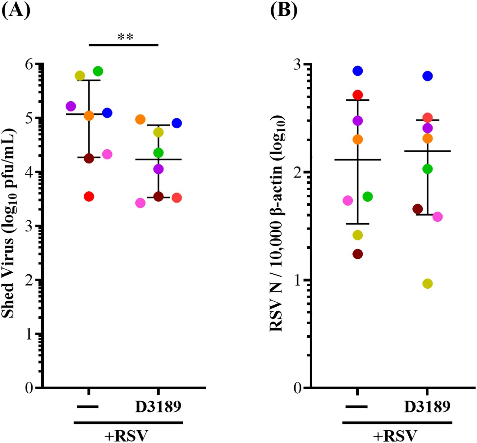 Two scatter plots with data points in different colors. Plot A shows shed virus levels (log base 10, pfu/mL) comparing two groups: “+RSV” and “D3189”. “+RSV” has higher levels, noted by “**”. Plot B shows RSV N levels normalized to beta-actin (log base 10) with similar values for both groups. Bars represent mean and error.