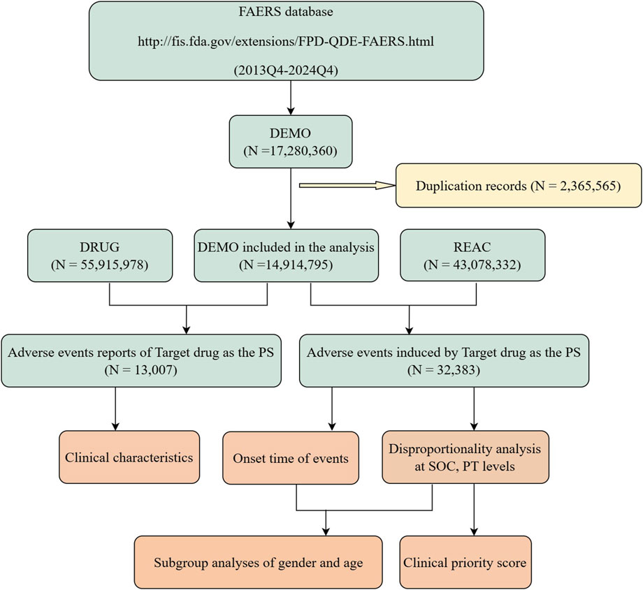 Flowchart of data extraction and analysis from the FAERS database, spanning 2013Q4 to 2024Q4. The chart starts with data labeled DEMO (N=17,280,360) and identifies duplication records (N=2,365,565). Remaining data is included in the analysis (N=14,914,795) and linked to DRUG (N=55,915,978) and REAC (N=43,078,332). Two analyses are conducted: adverse events reports of target drug (N=13,007) leading to clinical characteristics and onset time of events; and adverse events induced by the target drug (N=32,383), leading to disproportionality analysis and clinical priority score. Final analysis includes subgroup analyses by gender and age.