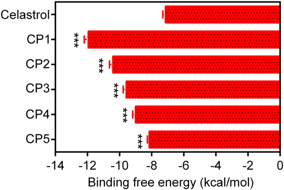 Bar graph displaying binding free energy in kilocalories per mole for Celastrol and compounds labeled CP1 to CP5. CP1 shows the lowest binding energy at approximately −13 kcal/mol, while celastrol has the highest at around −7 kcal/mol. Error bars and significance marked with asterisks are present.