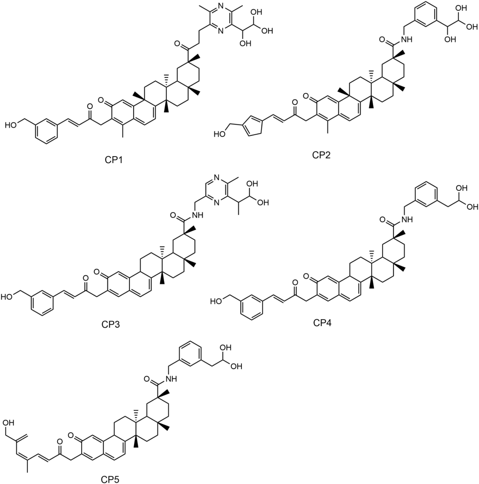 Chemical structures of five compounds labeled CP1 to CP5. Each structure includes cholesteryl backbones with varying side chains, featuring functional groups such as amides, hydroxyls, and aromatic rings.