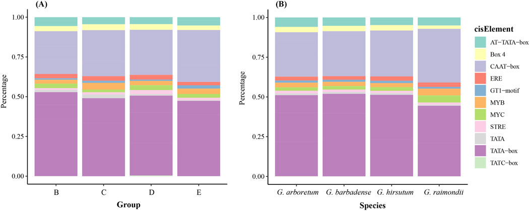 Two stacked bar charts labeled (A) and (B) compare cis-element percentages across groups and species. Chart (A) shows groups B, C, D, E; chart (B) shows species G. arboreum, G. barbadense, G. hirsutum, G. raimondii. A legend on the right lists color-coded cis-elements: AT-TATA-box, Box 4, CAAT-box, ERE, GT1-motif, MYB, MYC, STRE, TATA, TATA-box, TATC-box. Each cis-element is represented by a distinct color.
